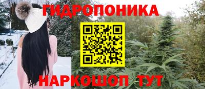 дурь Заводоуковск